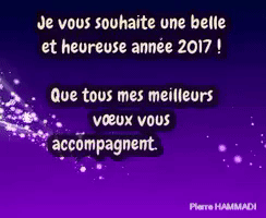 bonne-annee-2017_pierre-hammadi